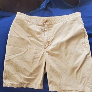 Tailorbyrd Tan Shorts with Blue Details